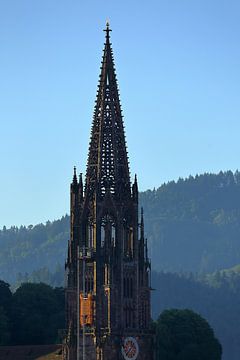 Kathedraal van Freiburg van Patrick Lohmüller