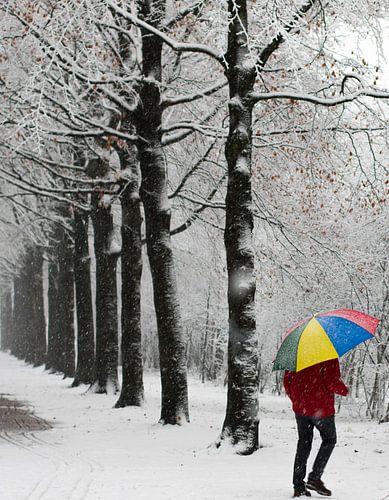 Winterspaziergang