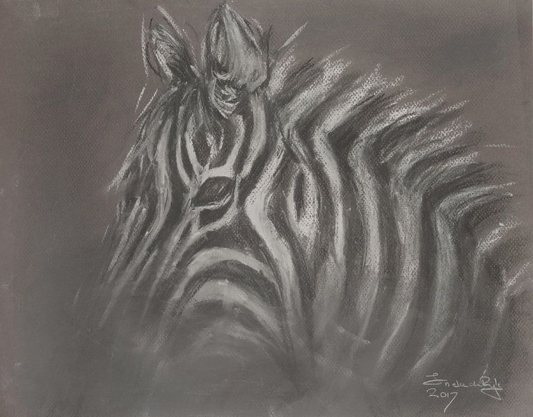 Afrikanisches Zebra, gezeichnet mit Pastellkreide. von Ineke de Rijk