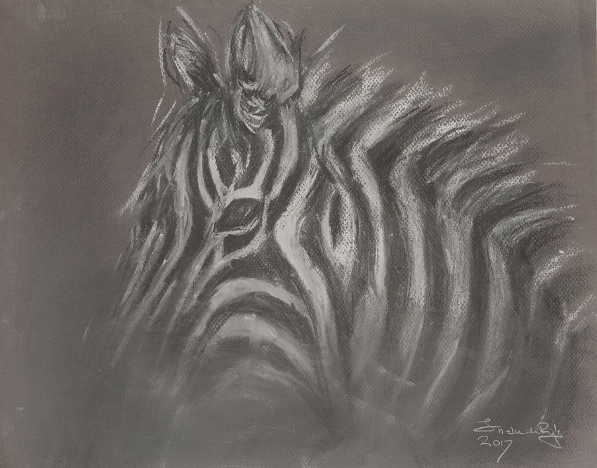 African zebra drawn with pastel crayon . by <span class="secondary-font">Ineke de Rijk</span>