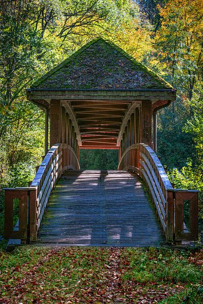 Brug in het groen van Thomas Heitz