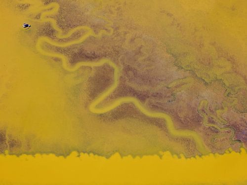 South San Francisco Bay zoutverdampingsbassin