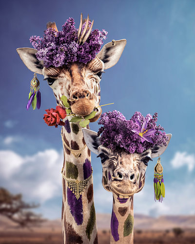 Giraffe Kingdom