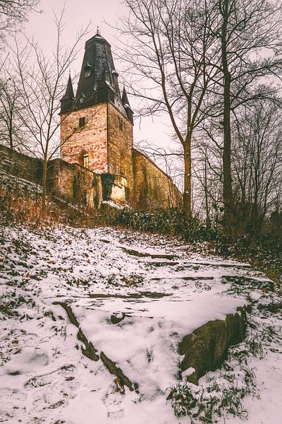 Bad Bentheim castle by Edith Albuschat