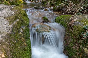 Kleine waterval in het bos