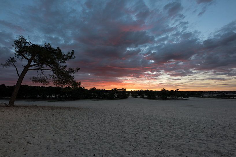 Sunset at the Dunes par Paul Oosterlaak