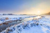 Winter landscape at the Oostervoortsche deep near Norg in Drenthe during sunrise by Bas Meelker thumbnail