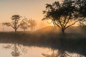 Goldenes Licht an einem magischen Morgen im Werk aan de Groeneweg 3 von Jeroen de Jongh