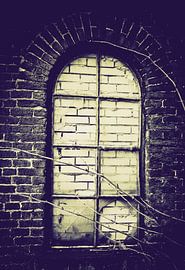 Broken Window by Tonny Visser-Vink