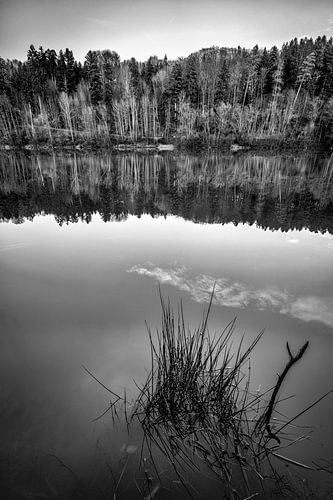 Black and white picture of Herrenbach reservoir near Schorndorf Baden-württemberg