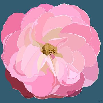 Rambler Rosa Rose von Mascha Siekkötter