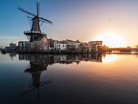 Haarlem's Symbolic Mill