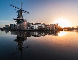 Le moulin symbolique de Haarlem