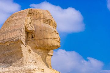 Sfinx bij de piramides in Egypte