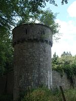 torentje