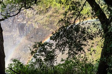 Regenboog door Victoria Falls in Zimbabwe van Henri Kok
