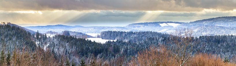 Bayrischer Wald von Dirk Rüter