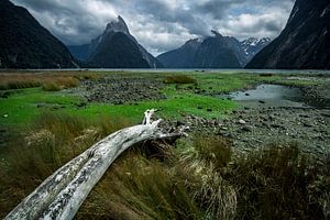 Milford Sound - Südinsel, Neuseeland von Martijn Smeets