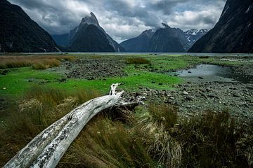 Milford Sound - Zuidereiland, Nieuw-Zeeland van Martijn Smeets