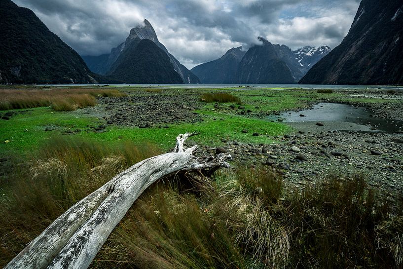 Milford Sound - Île du Sud, Nouvelle-Zélande par Martijn Smeets