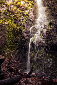 Am Fuße des Burgbachwasserfalls