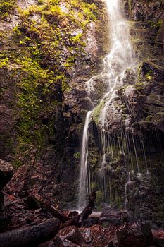 Am Fuße des Burgbachwasserfalls