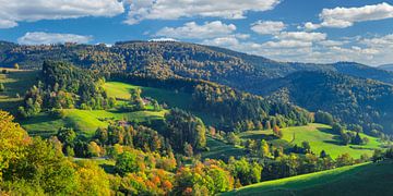 Zwarte Woud in de herfst van Markus Lange