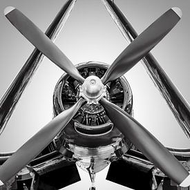 De Vought F4U-4 Corsair van Frank Peters