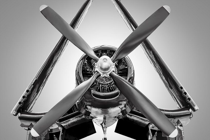 Die Vought F4U-4 Corsair von Frank Peters