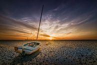 Bateau sur la terre ferme par Dennis Donders Aperçu