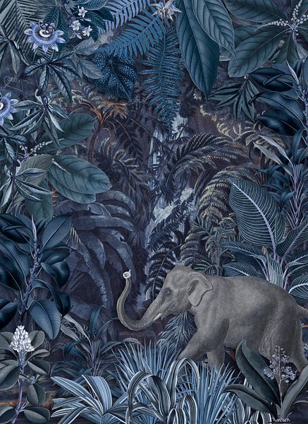 Elefant im Mitternachts-Dschungel von Andrea Haase