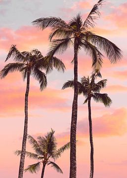 Zonsondergang Palmbomen van Gal Design