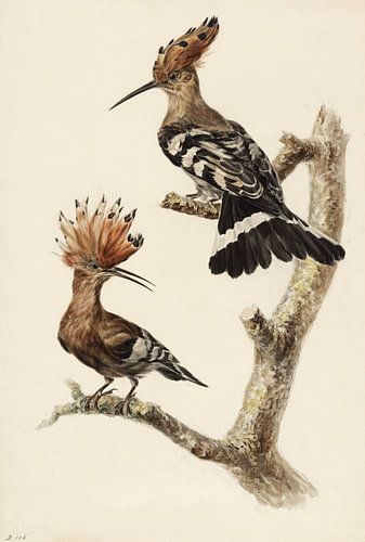 Twee hoppen, Stephanus Hendrik Willem van Trigt