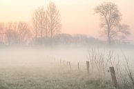dageraad mist over het grasland van Marcel Derweduwen thumbnail