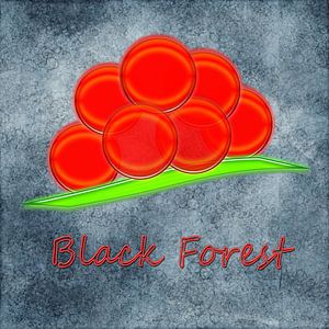 Bollenhut Artwork - 4.1