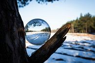 Winter durch eine Kristallkugel von Marcel Geerings Miniaturansicht
