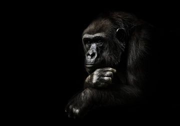 Pensieve houding, hand rekwisieten zijn hoofd. Aapje mensachtige gorilla vrouwtje. een symbool van b van Michael Semenov