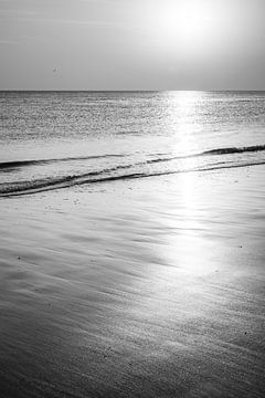 Paysage marin Flushing en noir et blanc Reflet de tranquillité