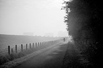 Radfahrer im Morgennebel