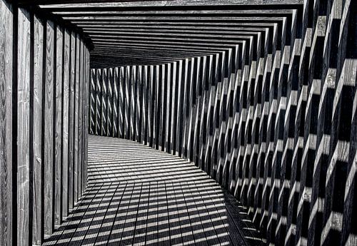 Licht-  en schaduwspel