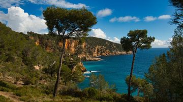 Coast near Saint-Cyr sur Mer on the Côte d'Azur by Tanja Voigt