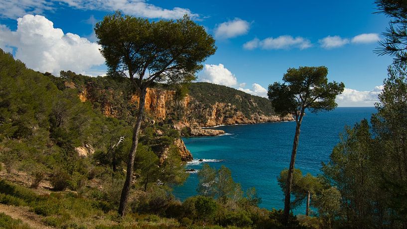 Coast near Saint-Cyr sur Mer on the Côte d&#039;Azur by Tanja Voigt