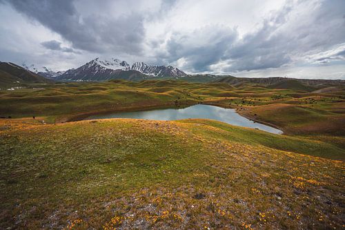 The flower valleys of Kyrgyzstan by Yvonne de Bondt