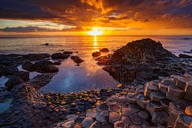 Gaint's Causeway in Ireland by Roland Brack