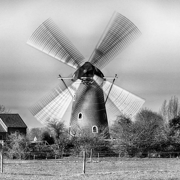 Holländische Mühle von Mark Bolijn