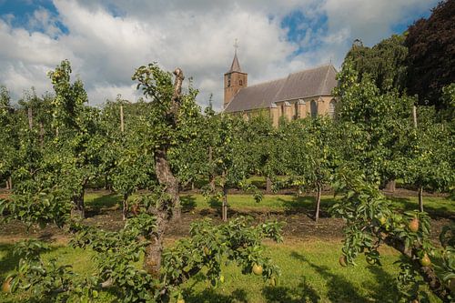 St. Jan de Doper kerk Echteld tussen de fruitbomen