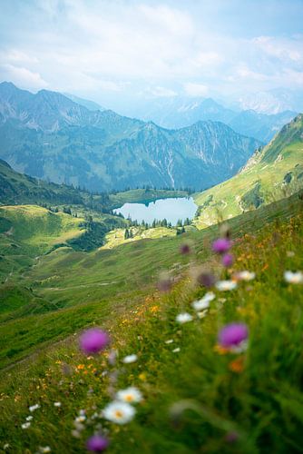 Bloemrijk uitzicht op de Seealpsee in de Allgäuer Alpen