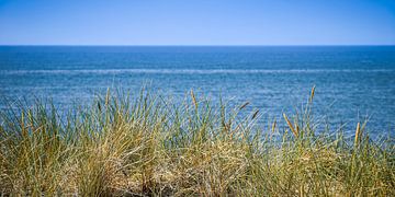 AND BEHIND IT THE SEA II