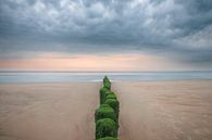 Poles to the sea by Peter Bijsterveld thumbnail