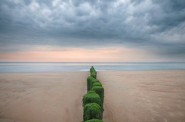 Pole zum Meer von Peter Bijsterveld